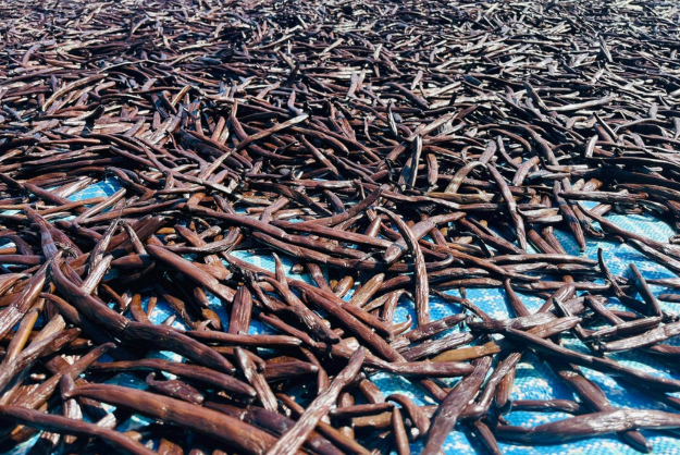 Trrings-proces af vaniljestnger