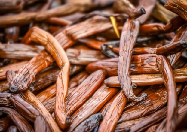 Hvor meget kender du vanilje sorter og deres smag?