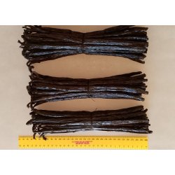 Grade A Premium++ vaniljestang  Madagaskar (18 - 21 gram pr stk.)