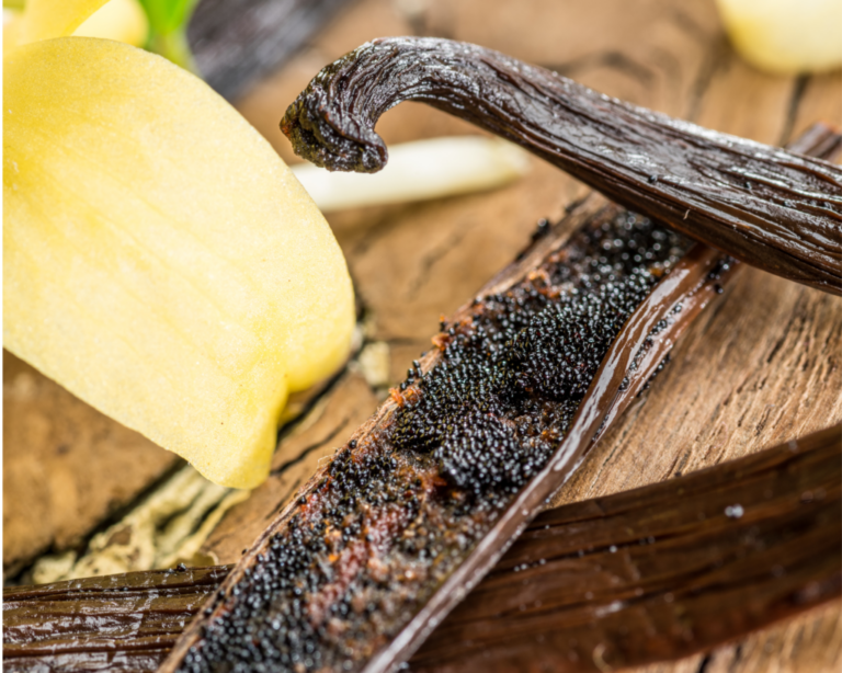 Vaniljestnger af hj kvalitet kommer normalt fra regioner som Madagaskar, Tahiti og Bourbon. Disse stnger har en rigere smag og aroma sammenlignet med billigere alternativer.