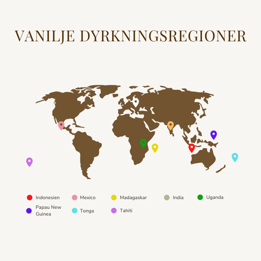 Vaniljeplanter blev derefter frt til Asien, Caribien og Comorerne. I dag dyrkes Vanilla i tropiske omrder af verden.