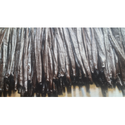 GOURMET - Vanilje Polynesisk - XL