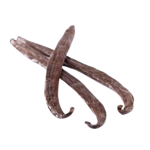 GOURMET - Vanilje Polynesisk - XL