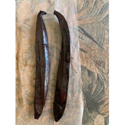 GOURMET vaniljestang  XXL