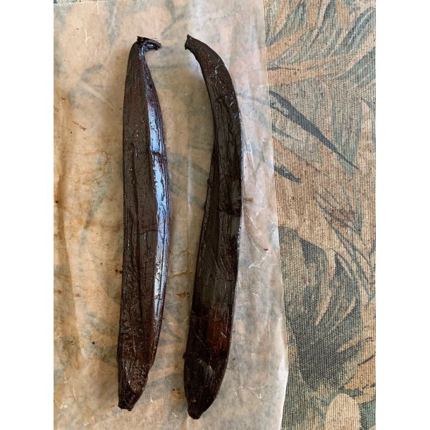 GOURMET vaniljestang  XXL