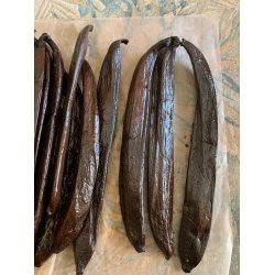 GOURMET vaniljestang  XXL