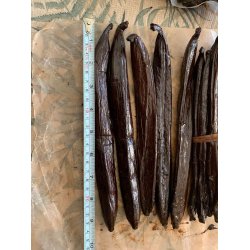 GOURMET vaniljestang  XXL