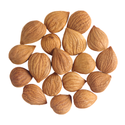 Mandler  Marcona - 1 kg