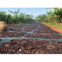 7,5-9 g Premium vaniljestang  Uganda