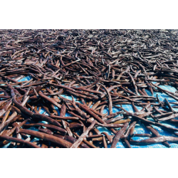 Grade A Premium++ vaniljestang  Madagaskar (12 -15 gram pr stk.)