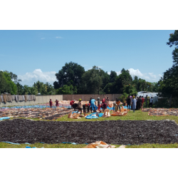 Grade A Premium++ vaniljestang  Madagaskar (12 -15 gram pr stk.)