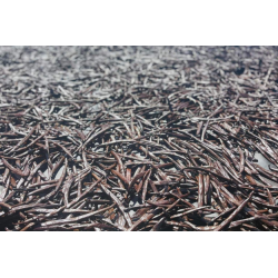 Grade A Premium vaniljestang  Madagaskar (7,5-9,5 gram pr stk.)